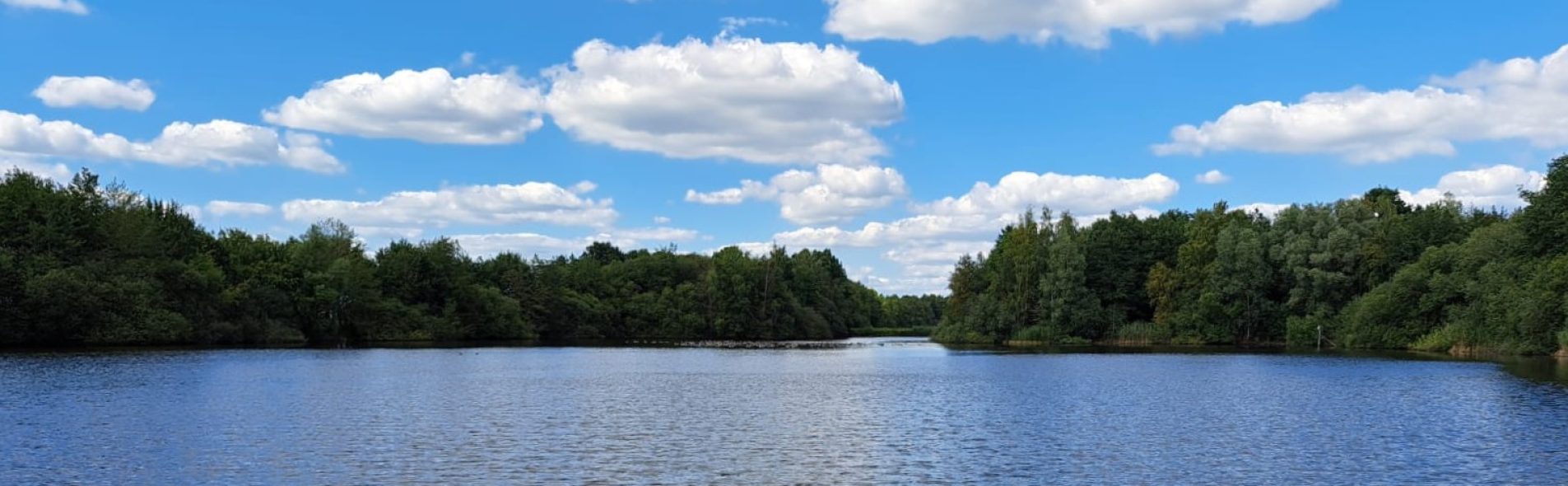 Schippersplas Rheezerveen Hardenberg